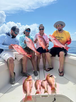 Offshore Fishing 🎣