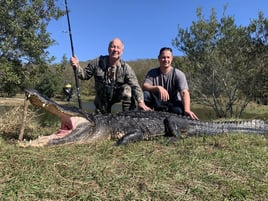 Trophy Gator Hunt