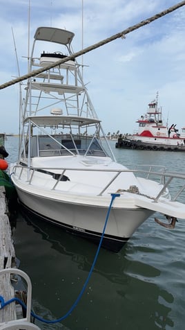 Bottom Fishing and Jigging