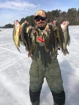 Ice Fishing Illinois - Walleye