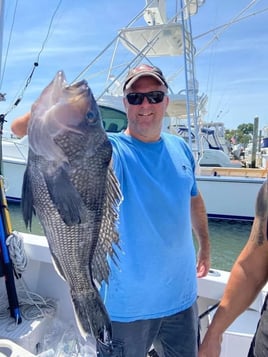 New York Sea Bass Thriller!