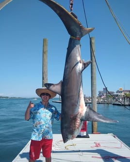Thresher Shark Fishing Fun!