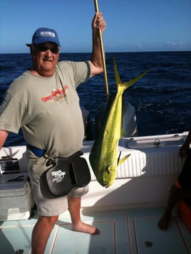 Tuna Marlin and More