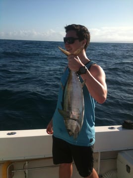 Tuna Marlin and More