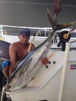 Tuna Marlin and More