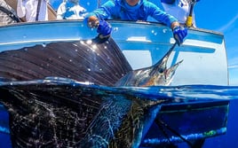 Deep Water Seamounts