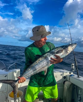 Deep Water Seamounts