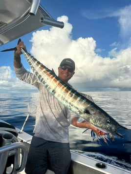 Deep Water Seamounts