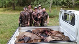 Texas Hog Shoot!