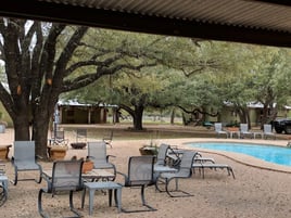 Pen Raised Quail Hunts