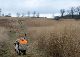 Pen Raised Quail Hunts