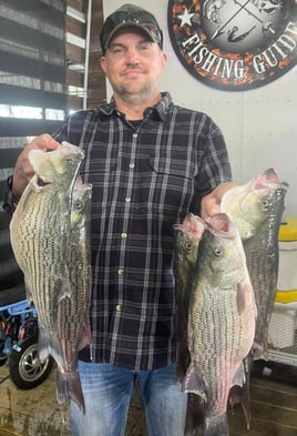 Lake Ray Hubbard Bass