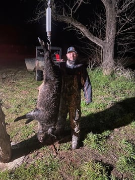 Weekend Long Hog Takedown!