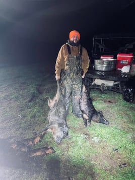 Weekend Long Hog Takedown!