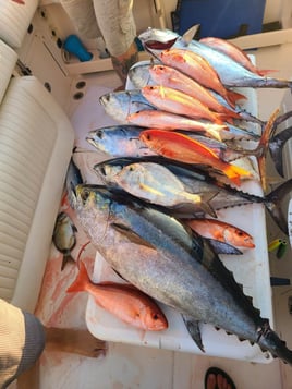 VIP Offshore - Up to 6 Anglers