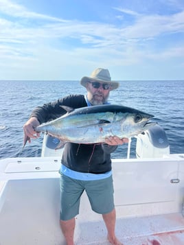 Offshore Sportfishing