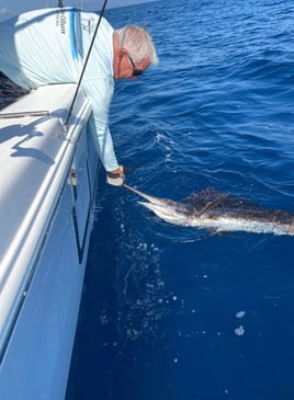 Offshore Sportfishing