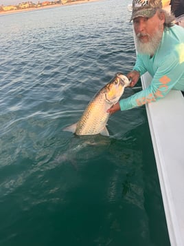 Tarpon Fishing in New Smyrna Beach, Florida
