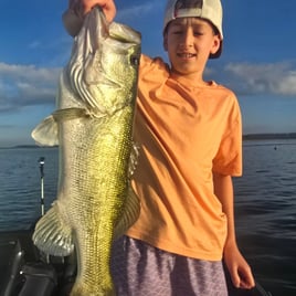 Central Texas Hawgs