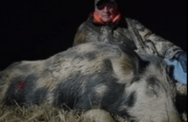 Thermal Hog Spot and Stalk