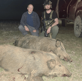 Thermal Hog Spot and Stalk