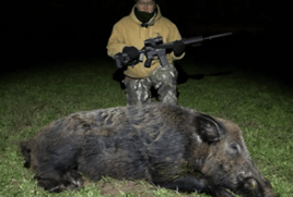 Thermal Hog Spot and Stalk