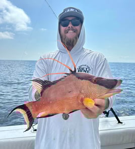 6hr Coral Bottom Trip