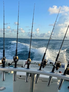 Full Day Marathon Fishing