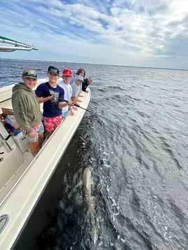 Inshore backwater trips