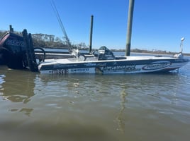 Inshore backwater trips