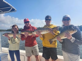 Inshore backwater trips