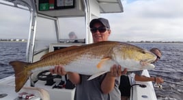 Inshore backwater trips