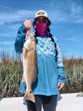 Inshore backwater trips