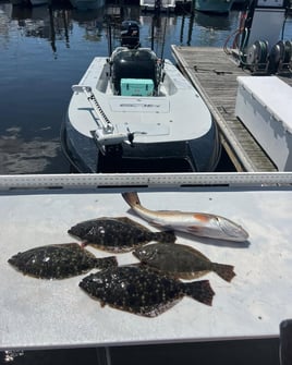 Inshore backwater trips