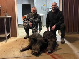 Alabama Thermal Hog Hunts