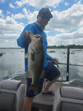 Largemouth bass fishing
