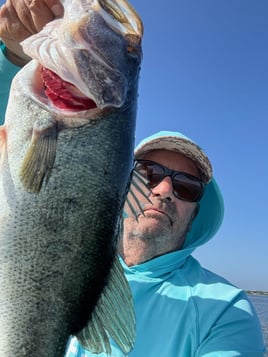 Largemouth bass fishing