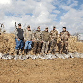 El Dorado Area Sandhill Crane Hunts