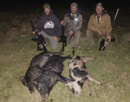 Thermal Hog Hunt Fun