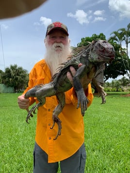 Iguana Fishing in Fort Lauderdale, Florida