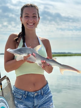3 Hour Beginner Shark Fishing