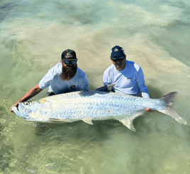Evening Tarpon Slam
