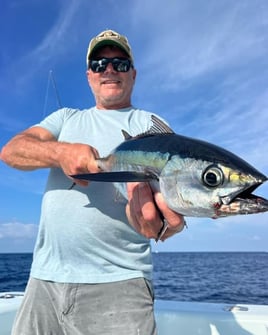 Swordfish Seeking