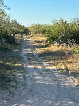 South Texas Pig Hunt