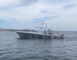 Swordfish Trip - 31' Jupiter