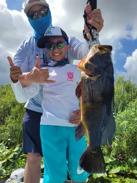 Peacock Bass Hunting in Fort Lauderdale, Florida