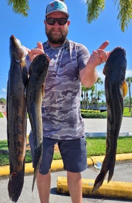 Cast and Blast Adventure 🐟🎣🦎