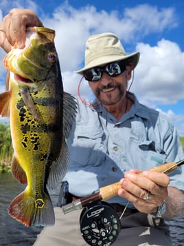 Split Trip Combo: Peacock bass & Snakehead