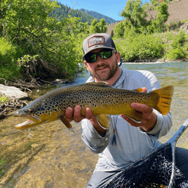 Provo River Float 'n Fish