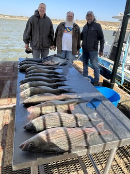 Captain John’s Evening Trip